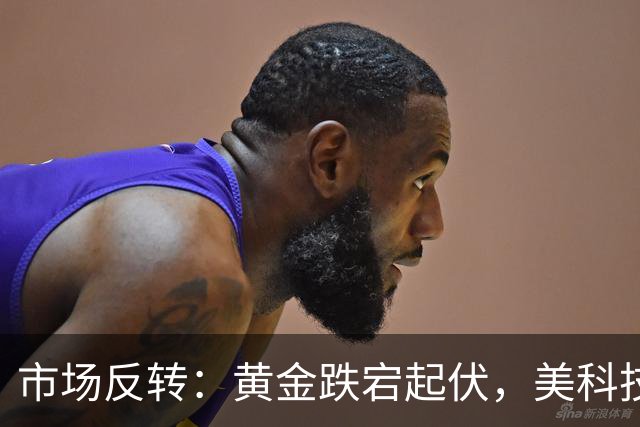 市场反转：黄金跌宕起伏，美科技巨头角逐AI智能领域
